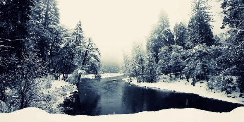 Escape reality and decompress with this simple 5 minute exercise.
(Listen to nature sounds, classical music or your favorite music when doing this exercise.)