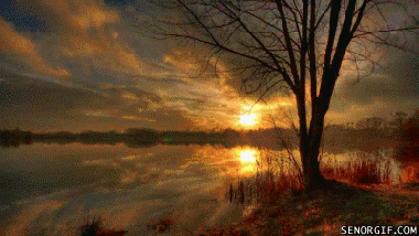 Escape reality and decompress with this simple 5 minute exercise.
(Listen to nature sounds, classical music or your favorite music when doing this exercise.)