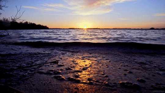 Escape reality and decompress with this simple 5 minute exercise.
(Listen to nature sounds, classical music or your favorite music when doing this exercise.)