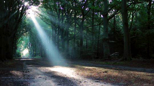 Escape reality and decompress with this simple 5 minute exercise.
(Listen to nature sounds, classical music or your favorite music when doing this exercise.)